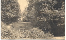 LINKEBEEK (1630) Chemin Conduisant Au Moulin Rose - Linkebeek