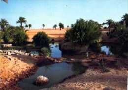 Tchad BET Point D'eau Pres De Faya Photo Marteles - Chad