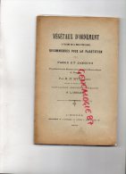 87-LIMOGES - VEGETAUX D' ORNEMENT PAR M. H NIVET JEUNE HORTICULTEUR-PAYSAGISTE -1903 - Limousin