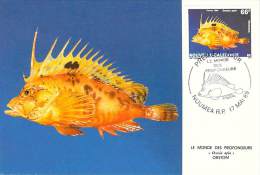 NOUVELLE CALEDONIE  CARTE MAXIMUM  NUM-YVERT 577 FAUNE MARINE - Cartes-maximum