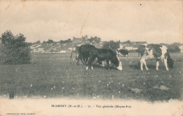 BLAMONT - Vue Générale (vaches Au Premier Plan) - Blamont