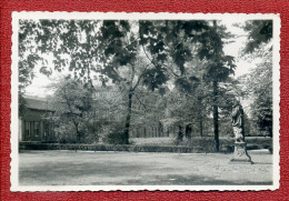 CPA : Rastatt : Le Square : Parc - Statue - Rastatt