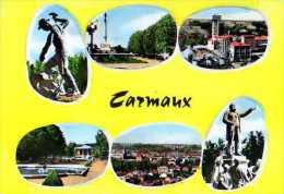 81 CARMAUX Mineur Parc De La Serenite Nouveau Groupe De Synthese Parc Du Grand Pre Vue Generale Statue De Jaures - Carmaux
