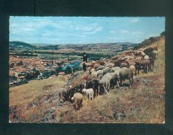 Delcampe - CPSM - Langeac (43) - Vu De St Saint Roch ( Animée Berger Moutons Ed. Theojac) - Langeac