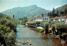 CPM   SAINT ETIENNE DE BAIGORRY     L'hotel ARCE  Et Ses Environs - Saint Etienne De Baigorry