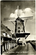 Wijk Bij Duurstede - Molen Van Ruysdael - & Windmill - Wijk Bij Duurstede