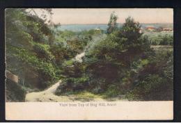 RB 956 - 1905 Postcard - View From Top Of Bog Hill Ascot Berkshire - 1/2d Rate Local Use In Bracknell - Autres & Non Classés