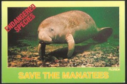 SAVE THE MANATEES Sea Cow Endangered Species Ft. Myers Florida USA 1993 - Ippopotami
