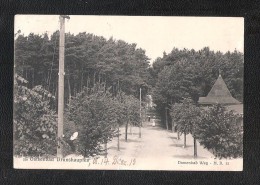 Mecklenburg-West Pomerania  Ostseebad Brunshaupten Damenbad Weg - Kühlungsborn