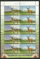 Moldova 2008 / Deer / MS With 5 Sets - Vaches