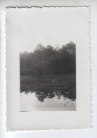 Photo Ancienne Originale : L'Etang Du Sabot à BREIL Sur MERIZE - Montfort Le Gesnois