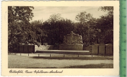 Bitterfeld, Neues Gefangenen - Denkmal,  Verlag:----,  Postkarte Mit Frankatur, Mit Stempel, BITTERFELD  19.4.33 - Bitterfeld