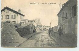 MOISSELLES  - La Ruz Du Moutier. - Moisselles