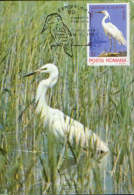 Romania- Maxicard;maximum Postcard 1980-Long-legged Wading Birds- Great Egret;Großer Reiher;grande Aigrette - Picotenazas & Aves Zancudas