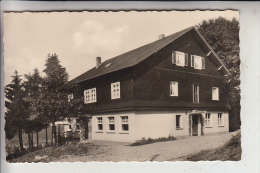 5242 KIRCHEN, "Druidenschlößchen" - Kirchen