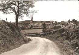 Senzeille Cerfontaine - Cerfontaine