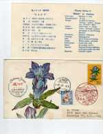 R 234 Boju Japon 1961 Plantas Medicinales, - Cartas & Documentos