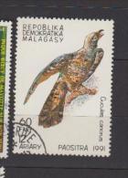 Madagascar YV 1026 O 1991 Coucou - Cuckoos & Turacos