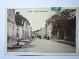 MURET  (Haute-Garonne)  :  Avenue De Rieumes - Muret