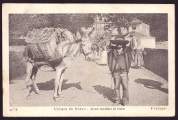 UNHAES/UNHAIS DA SERRA / COVILHÃ / CASTELO BRANCO / PORTUGAL.Costumes Jovem Vendedor De Fruta. Burro. Postal Nº 5. - Castelo Branco