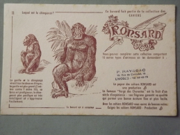Buvard Ronsard Chimpanzé - R