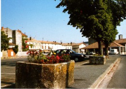 CPSM CHEF BOUTONNE - Chef Boutonne