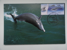 CARTE MAXIMUM MAXIMUM CARD  DAUPHIN DOLPHIN ISRAEL - Maximumkarten