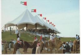 "  Course De Chameaux.... " , écrite , 2 Scans - Emirats Arabes Unis