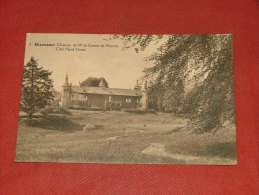 RIXENSART  -  Château De Mr Le Comte De Mérode  -  Côté Nord Ouest   -  1920 - Rixensart