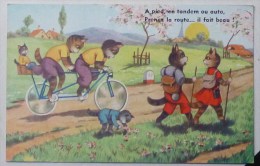 CP Litho ILLUSTRATEUR MD 2250 Chats Chat Humanisé Cyclisme Velo Tandem Marcheur Sac A Dos - Gekleidete Tiere