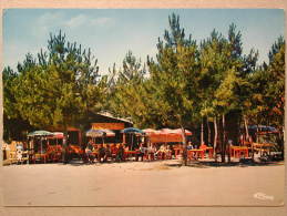 Houtin-Plage, "Camping Cote D'Argent" - Lesparre Medoc