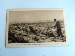 Carte Postale Ancienne : Missions D´ Extrême Nord Canadien : Le Frère à La Charrue Avec Ses Chiens - Sonstige & Ohne Zuordnung