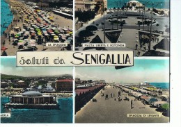 SENIGALLIA --cpsm ,multivues - Senigallia