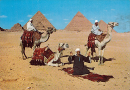 Giza - Arab Camelriders In Front Of The Pyramids - Gizeh