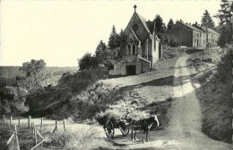 CHINY SUR SENNOIS BELGIQUE  CHAPELLE NOTRE DAME  EDIT. MAURY ATTELAGE CHEVAL CHARETTE - Otros & Sin Clasificación