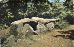 CPSM (53) ERNEE, Le Dolmen, écrite, Timbrée, De 1970 - Ernee