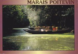 Cp , RÉGIONS , POITOU-CHARENTES , Le Marais Poitevin - Poitou-Charentes