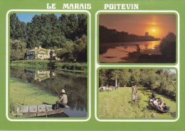 Cp , RÉGIONS , POITOU-CHARENTES , Le Marais Poitevin , Multi-Vues - Poitou-Charentes