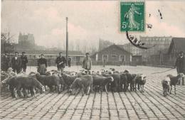 Carte Postale Ancienne PARIS :  Marché Aux Bestiaux - Paris (20)