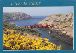 MORBIHAN L ILE DE GROIX LA POINTE ET PORT SAINT NICOLAS Editeur Jos Le Doaré - Groix