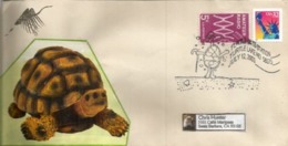 Annual Turtle Days! Turtle Lake, North Dakota USA.  Year  2003  (special Cover) - Schildpadden