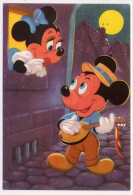 Postcard - Disney    (V 20487) - Disneyworld