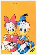 Postcard - Disney   (V 20491) - Disneyworld