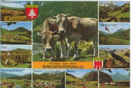 Autriche  Grusse Aus Dem  Bregenzerwald  Multi Vues  TBE - Bregenzerwaldorte