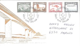 DENMARK   #RED CROSS COVER FROM YEAR 1981 - Storia Postale