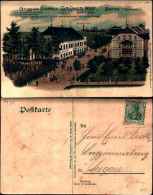 1935)cartolina Di Borna -chemntz -grus Ausgasthaus Gruner Hof- - Viaggiata - Borna