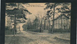 BEAUCHAMPS - BEAUCHAMP -  Avenue Des Bois De Beauchamps - Beauchamp