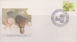 Australia 1982 Pittsworth State School Centenary Souvenir Cover - Storia Postale