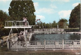 CHALUS LA PISCINE ANIMEE PLONGEOIR - Chalus