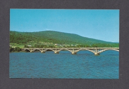 TERRE-NEUVE & LABRADOR - NEWFOUNDLAND - CODROY VALLEY - THE LONGEST CEMENT BRIDGE IN NEWFOUNDLAND - PHOTO  J. URQUHART - Altri & Non Classificati